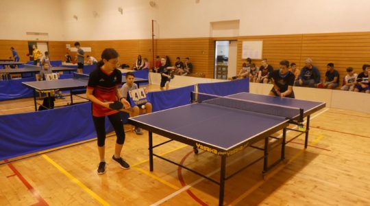 Stolní tenis v Havířově