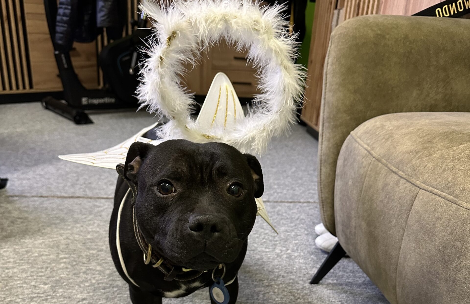 Mikuláš na Šumbarku